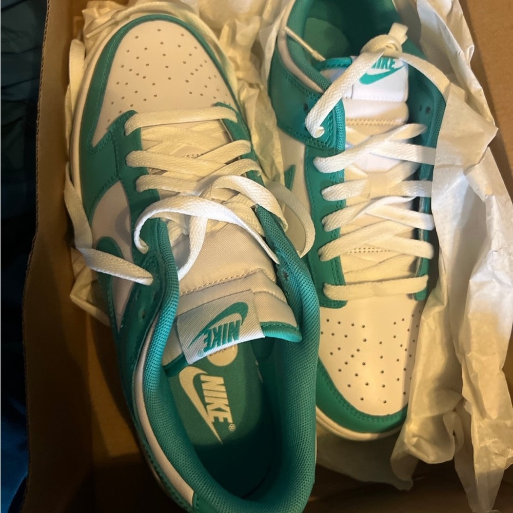 Women clear jade dunks